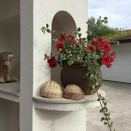 Stella Guest house