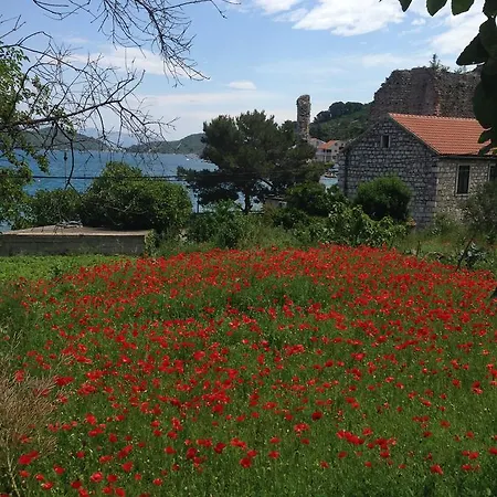 Stella Guest house Jelsa (Hvar)