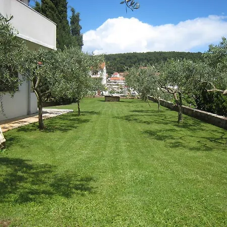 Stella Jelsa (Hvar)