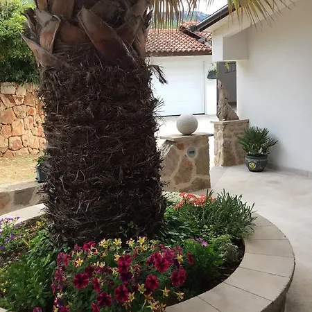 Stella ييلسا